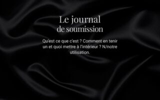 Journal de soumission BDSM