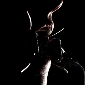 Check list BDSM débutant blog BDSM wannxlesah